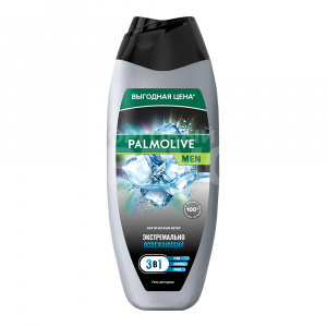 Гель-пенка детская Palmolive Men Арктический ветер 3 в 1 для тела, волос и лица, мужской, 450 мл
