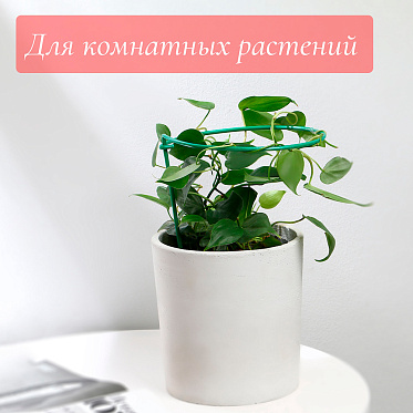 Кустодержатель 5100755 Greengo высота 25 см, для клубники металл зеленый
