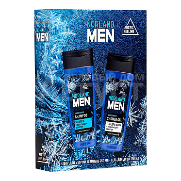 Набор подарочный Norland Men Ice Freshnes (шампунь 250мл + гель для душа 250мл), мужской