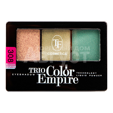 Тени Triumf Trio Color Empire тон 308